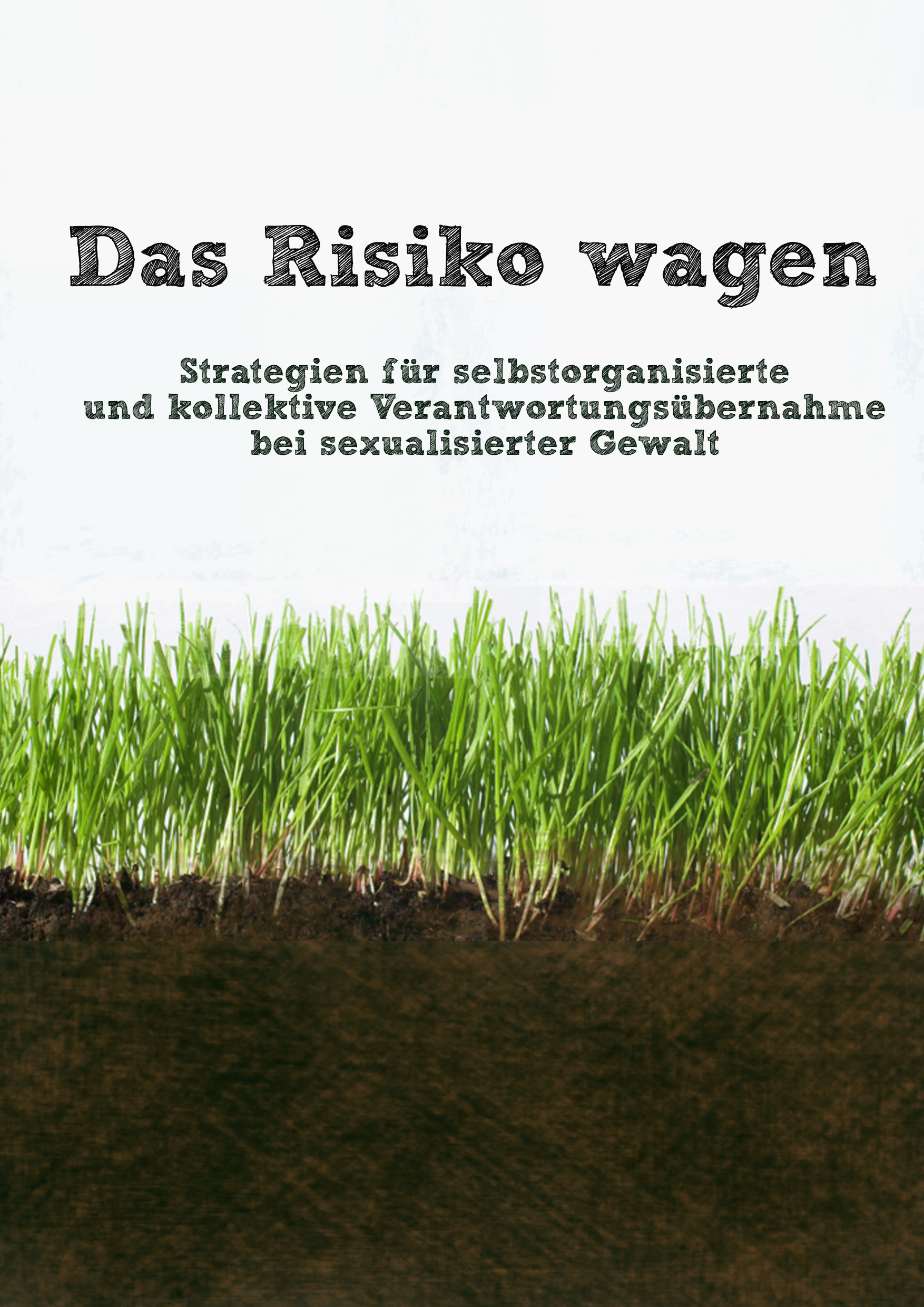 image of grass, above the title of the zine in German: "Das Risiko wagen. Strategien für selbstorganisierte und kollektive Verantwortungsübernahme bei sexualisierter Gewalt"